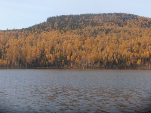 Золото осени.