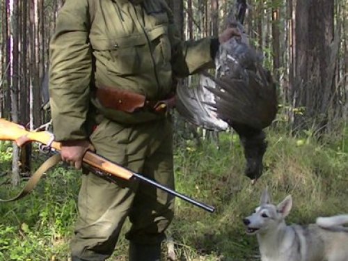 катюшка ЗСЛ 3 месяца