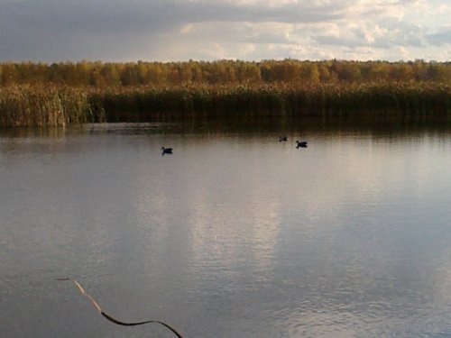 чучалки