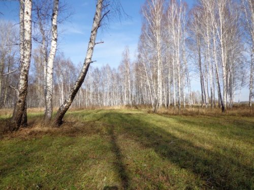 Очередная вылазка за косачиками.