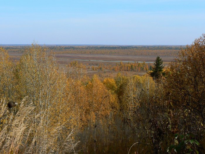 болото 2013