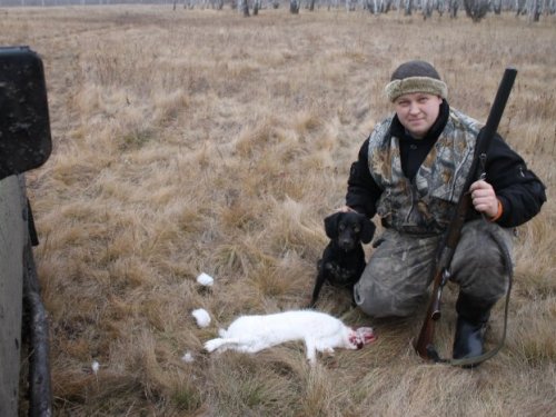 полностью белы