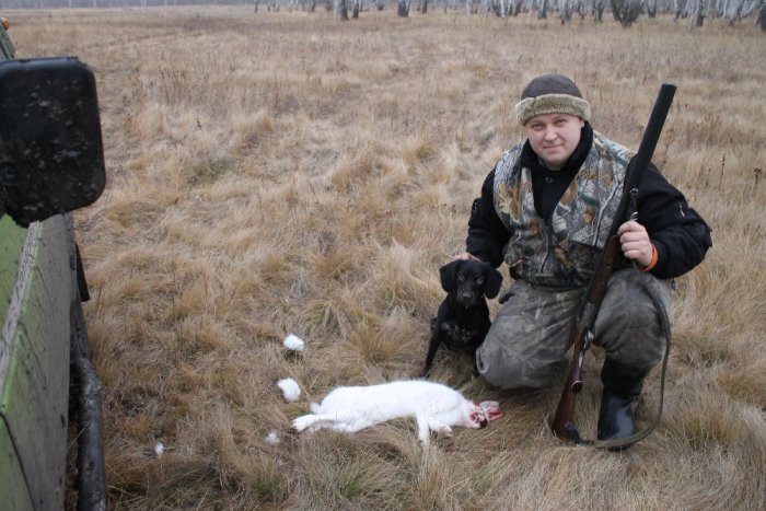 полностью белы