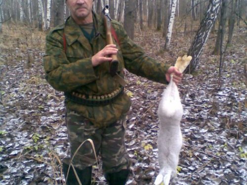 3 ноября 2013