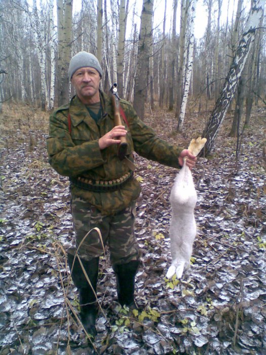 3 ноября 2013