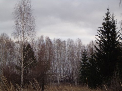Ждём зиму.