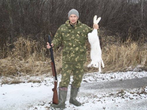 Заяц с Доволенской пропиской!