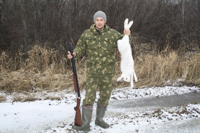 Заяц с Доволенской пропиской!