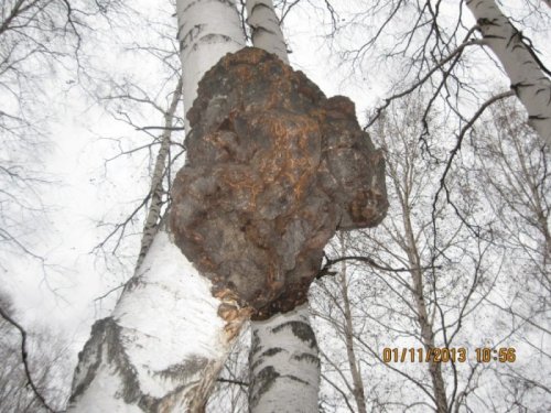 Огромный кап