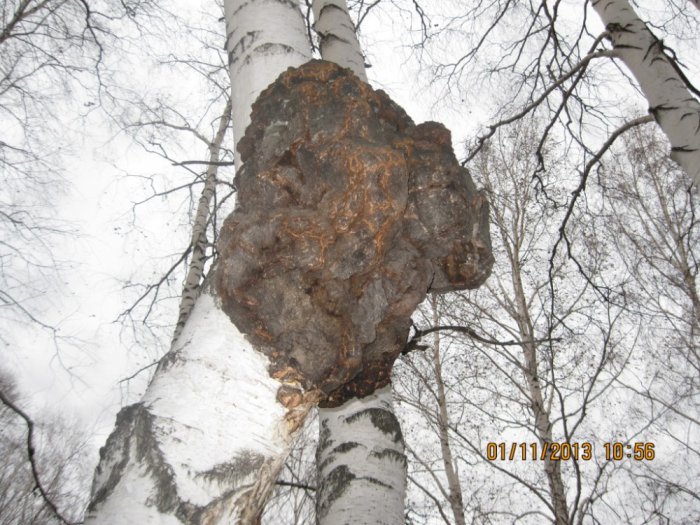 Огромный кап