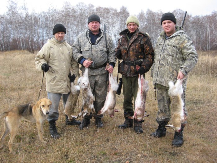 Открытие 2013