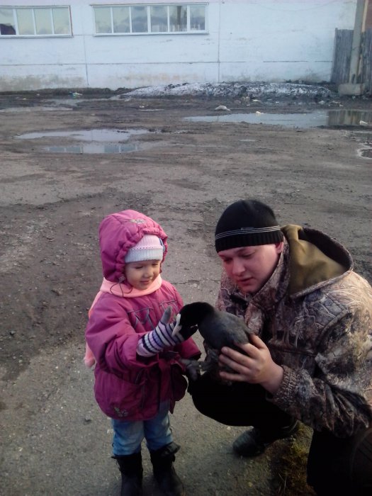 дочь поймала лыску у бабушке в огороде