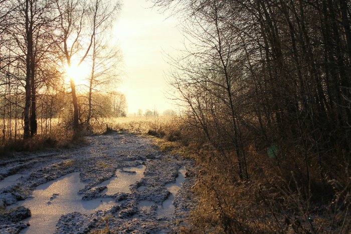 Заморозок