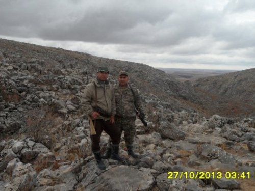 в поиске