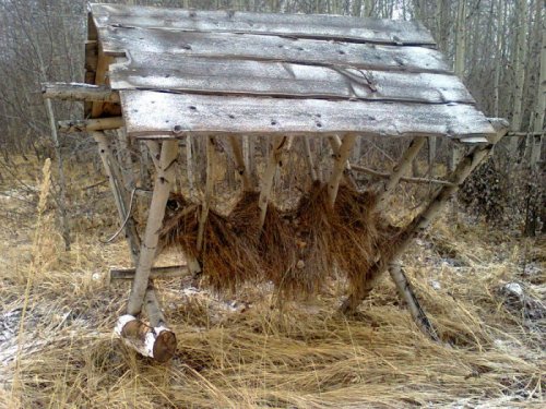 "Зоотехника")))