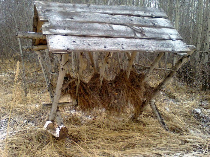 "Зоотехника")))