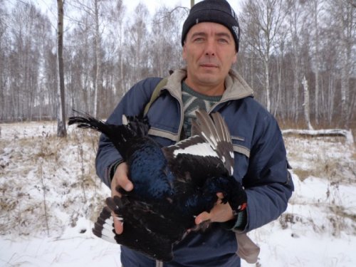 Засиделся в околке.