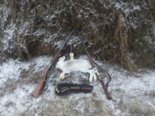 Натюрморт.