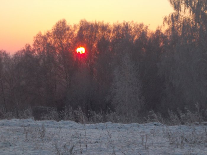 Ноябрьская зорька.
