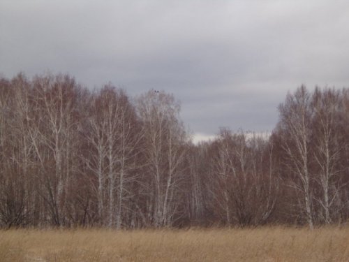 Ждём зиму.