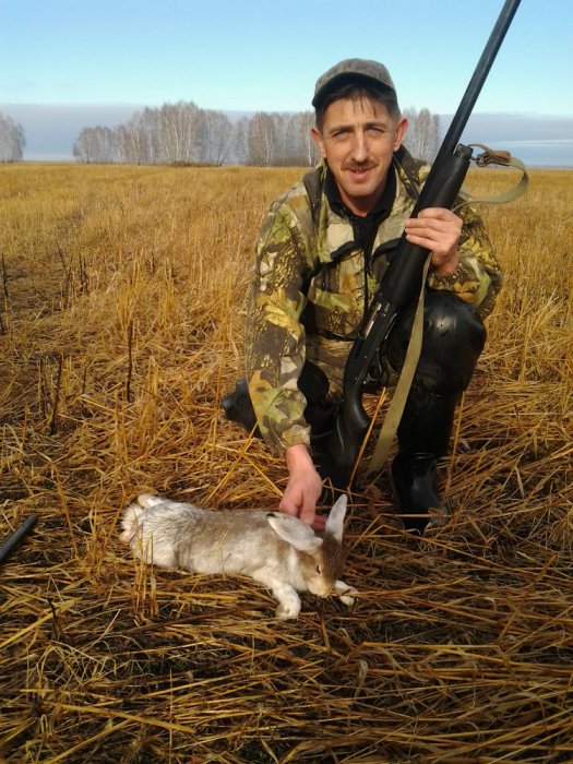Перед снегом