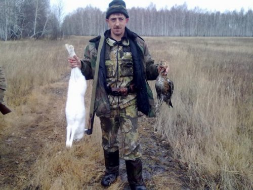 матёрый беляк