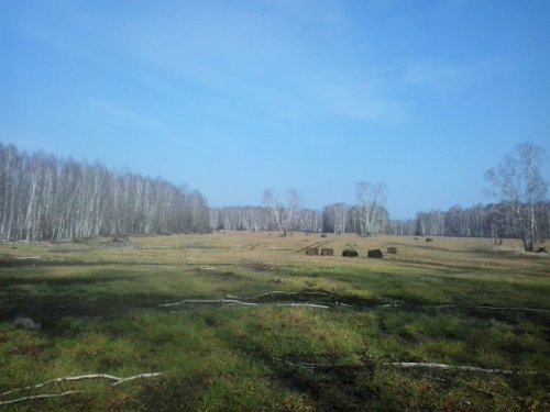 Покосы