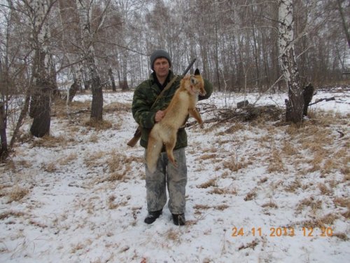 скромный подарок