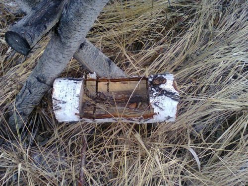 А эт типа солонец?!)))