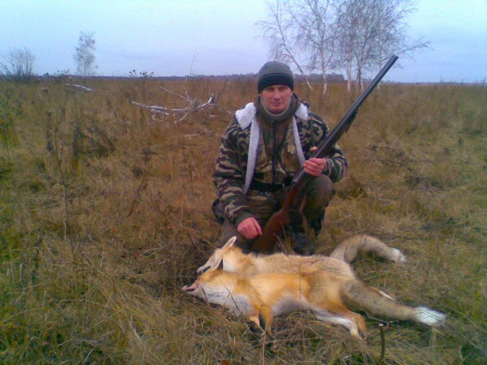 Лисички.