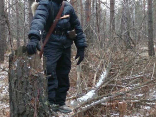 Рябчиков не видать, не слыхать.