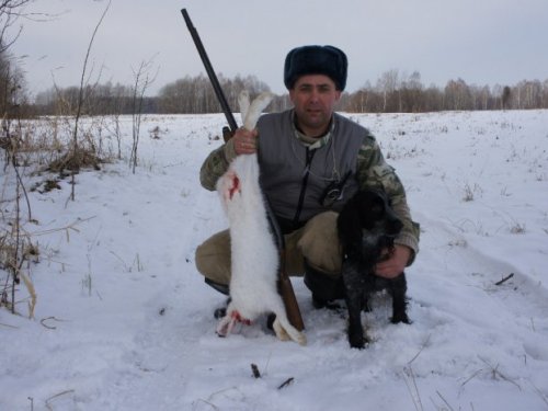 обновил шапку