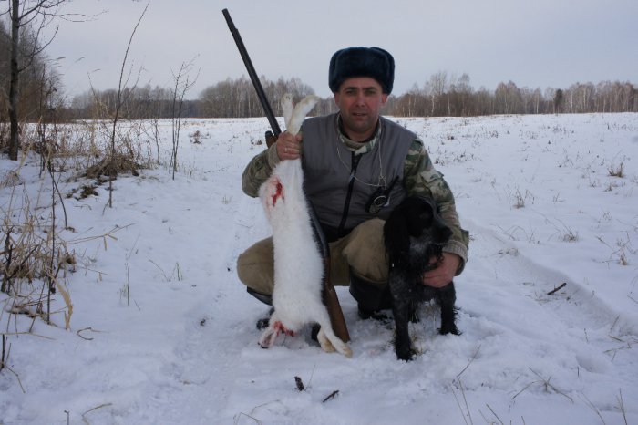 обновил шапку