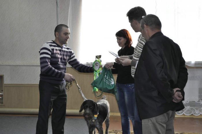 В класс "ЭЛИТЫ"