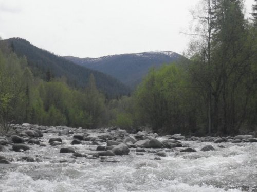 речка мульта