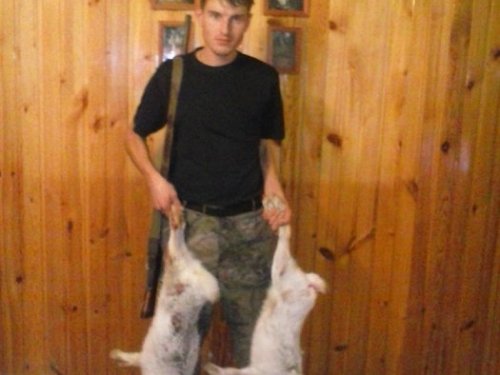 дома