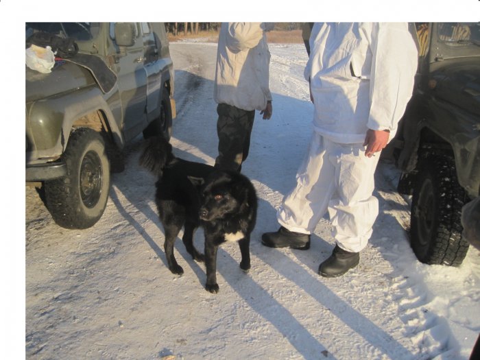 Помошник