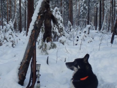 Долгожданный трофей в этом сезоне