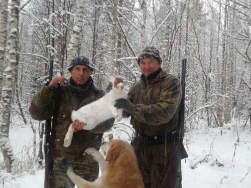 трудовой!!!