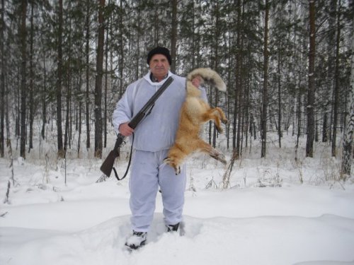 Мои лесопосадки и добытый лис,который жил там.
