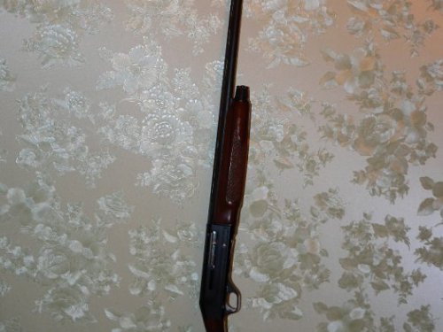 Stoeger 2000 глазами владельца.