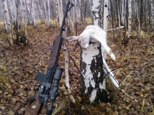 зайчик