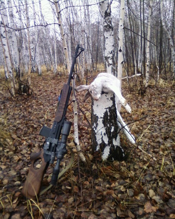 зайчик