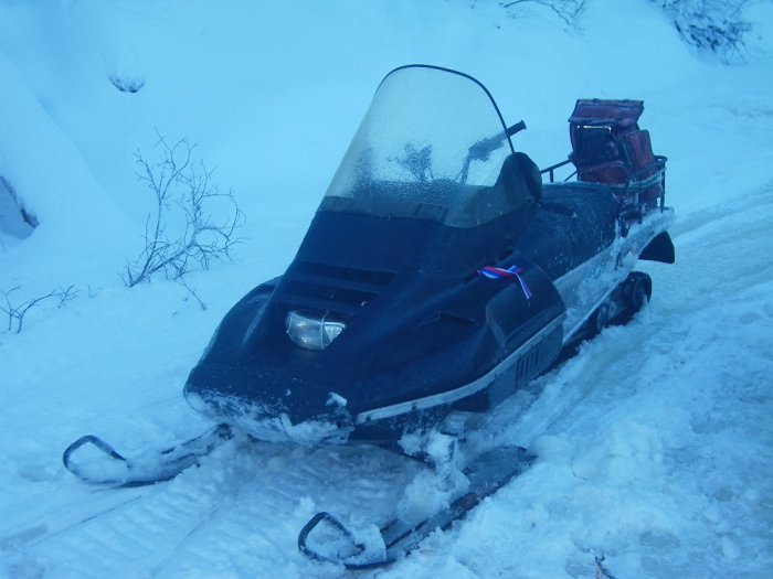 Рысь 440