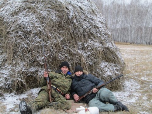 первый заяц