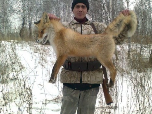 Лисовинчик!!