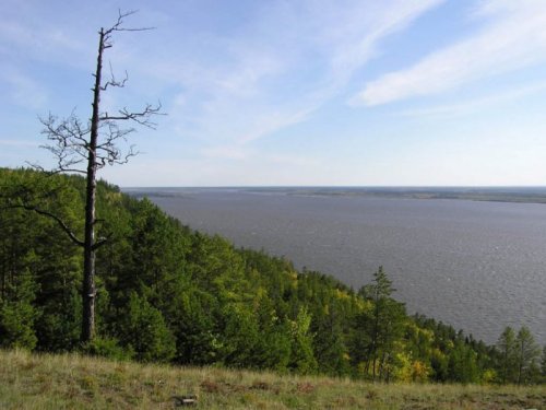 река Лена
