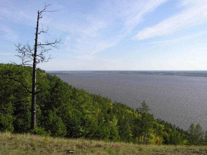 река Лена
