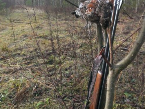 ИЖ-94 Север на охоте.