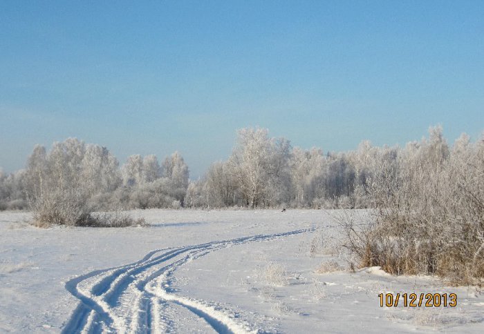 Зимний день.